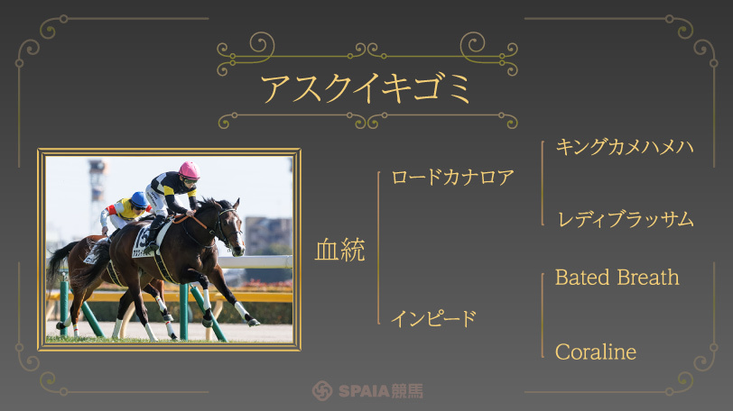 【NHKマイルC】4連勝中の「父ミスプロ系」に注目　4年前の勝ち馬と共通点多いアスクイキゴミに熱視線