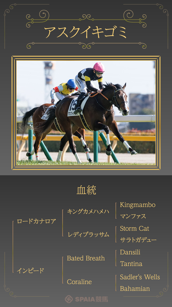 アスクイキゴミ,ⒸSPAIA