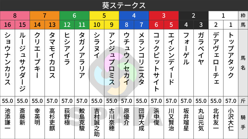 2026年葵Sの枠順,ⒸSPAIA