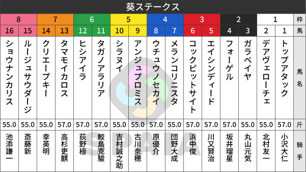 2026年葵Sの出馬表,ⒸSPAIA