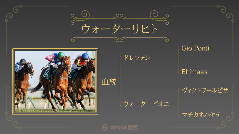 安田記念の血統注目馬ウォーターリヒト,ⒸSPAIA