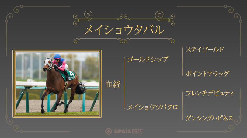【宝塚記念】阪神で輝く「デピュティミニスター」の血　連覇目指すメイショウタバルに単回収率216%の好データ
