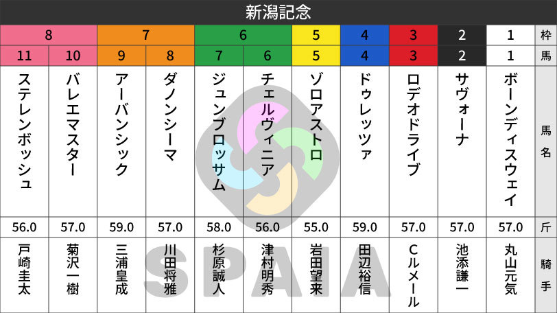 【新潟記念枠順】3歳マイル王者のロデオドライブは3枠3番　目黒記念3着のダノンシーマは7枠8番