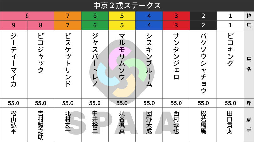 【中京2歳S枠順】新馬7馬身差Vのジーティーマイカは8枠9番　三冠牝馬の孫サンタンジェロは3枠3番