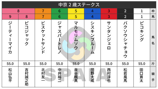 2026年中京2歳Sの出馬表,ⒸSPAIA