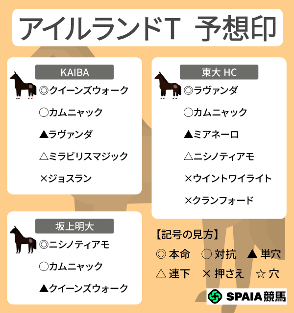 2026年アイルランドTのSPAIA予想まとめ,ⒸSPAIA