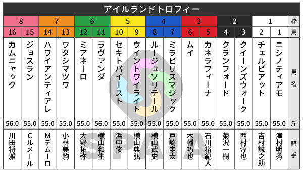 2026年アイルランドTの出馬表,ⒸSPAIA