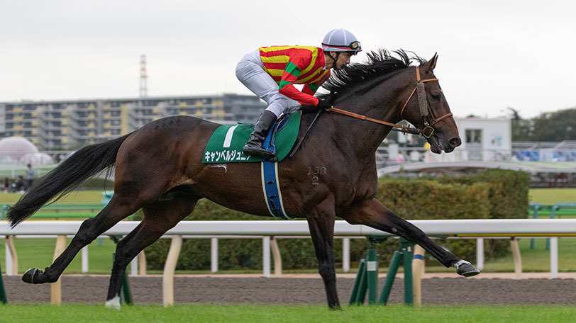 本命に推されたキャンベルジュニアⒸSPAIA（撮影：三木俊幸）