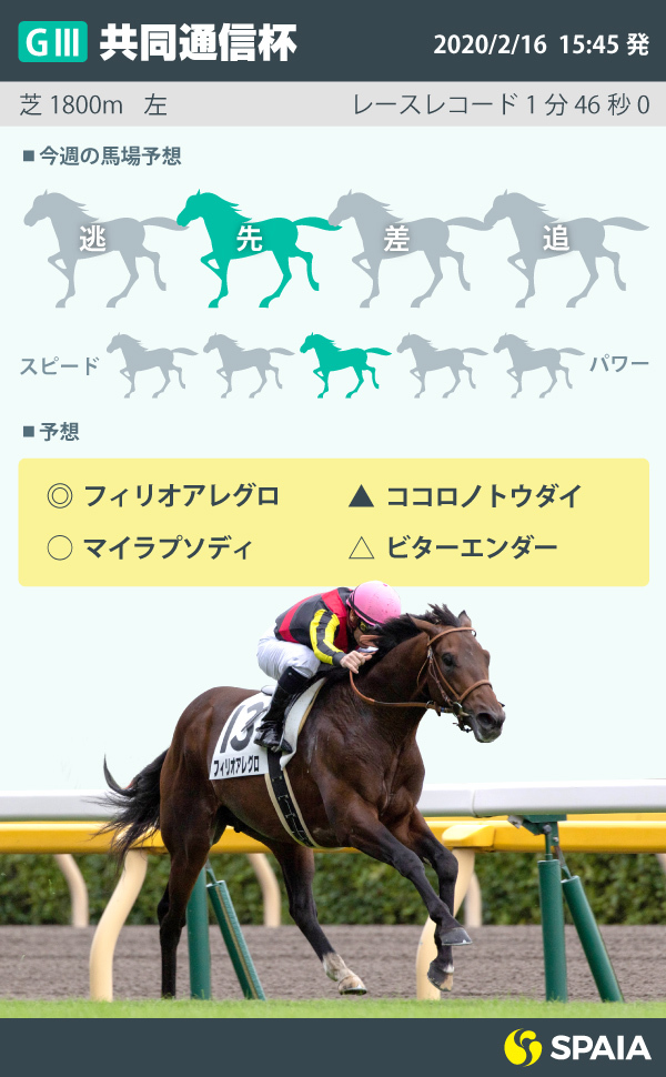 共同通信杯インフォグラフィックⒸSPAIA