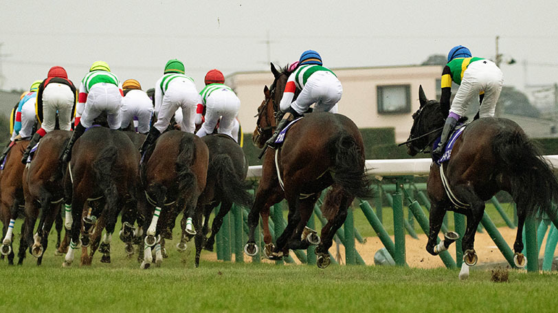 イメージ画像ⒸSPAIA（撮影：三木俊幸）