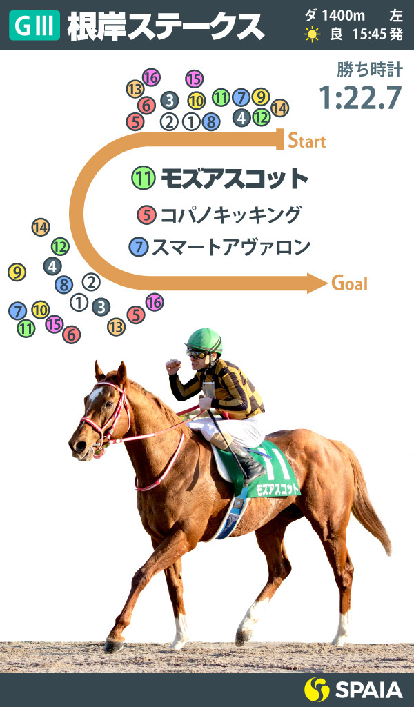 根岸ステークスインフォグラフィックⒸSPAIA