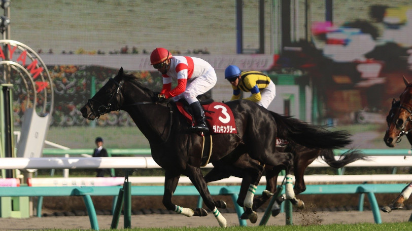 【AI予想】阪急杯▲◎○で3連複4,940円的中　重賞レースの結果を振り返る