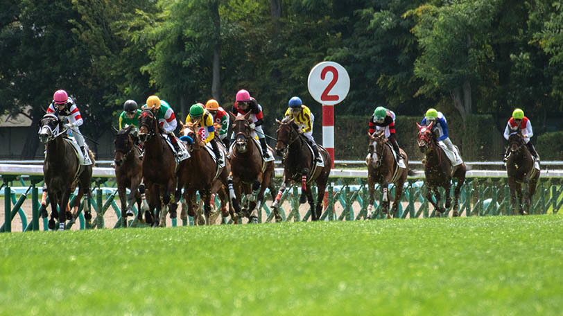 イメージ画像ⒸSPAIA