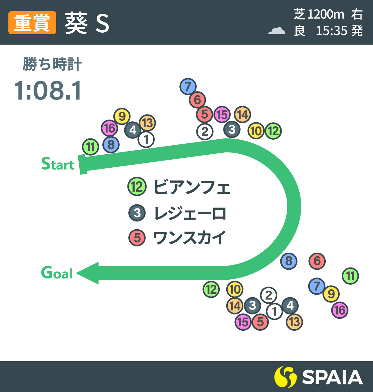 2020年葵S位置取りインフォグラフィックⒸSPAIA