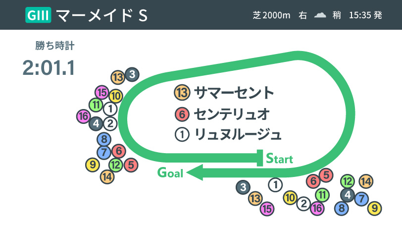 マーメイドS位置取りインフォグラフィックⒸSPAIA