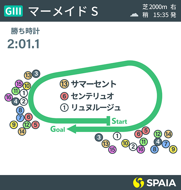 マーメイドS位置取りインフォグラフィックⒸSPAIA