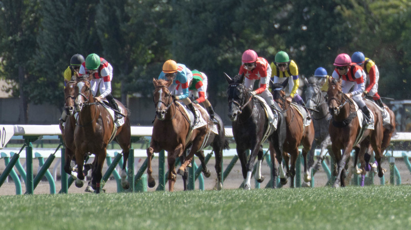 【AI予想回顧】函館記念と中京記念は3連単300万オーバー！開催最終週は次々と大波乱が巻き起こる