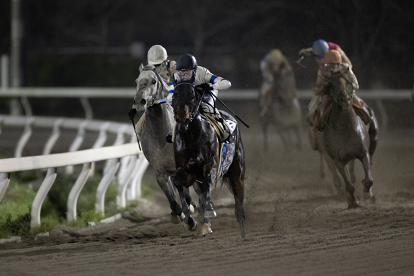 高知競馬場の4コーナー