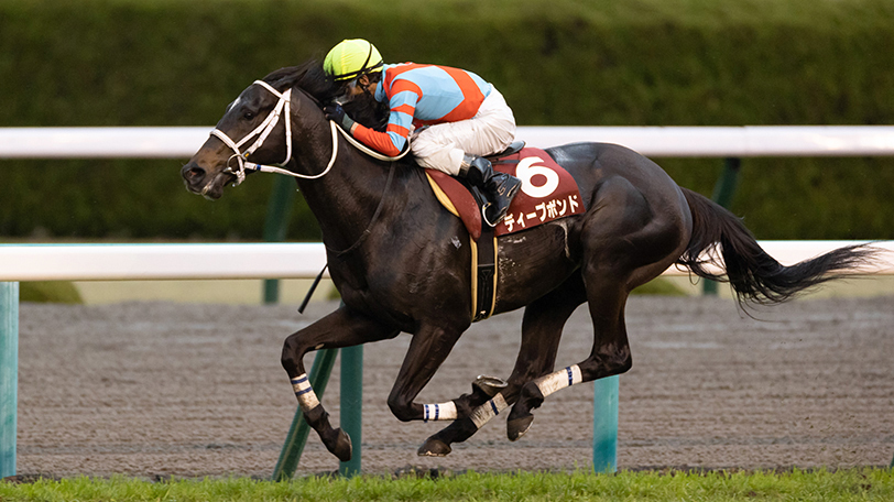 2021年阪神大賞典を勝ったディープボンド