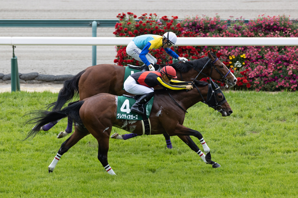 2021年ファルコンステークスのゴール前