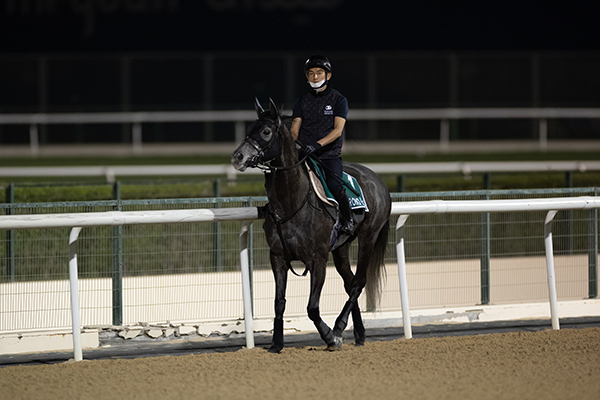 早朝から調教に臨むクロノジェネシス，ⒸSPAIA（撮影：三木俊幸）