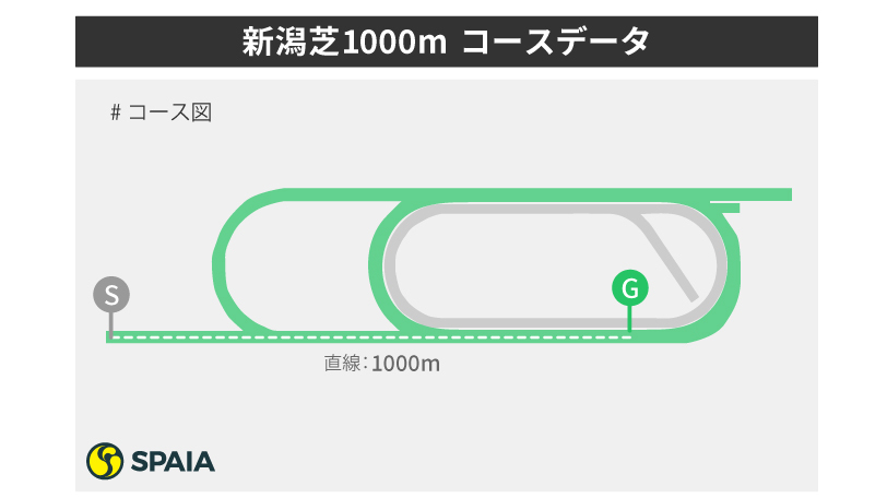 【アイビスSD】千直の8枠を買うのが日本の夏　東大HCが新潟芝1000mを徹底検証