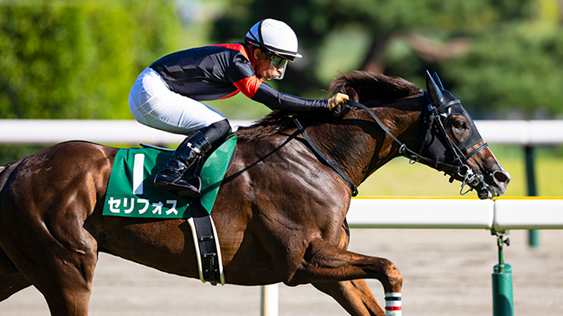 【AI予想回顧】新潟2歳Sはセリフォス優勝で◎◯的中！ キーンランドCの結果は？