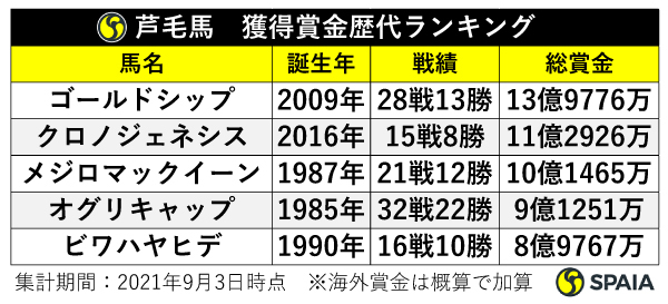 芦毛馬獲得賞金歴代ランキング