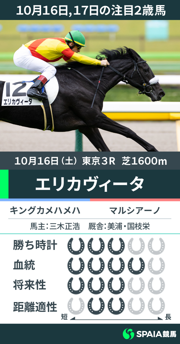10月16日東京3Rの新馬戦を勝利したエリカヴィータ,ⒸSPAIA