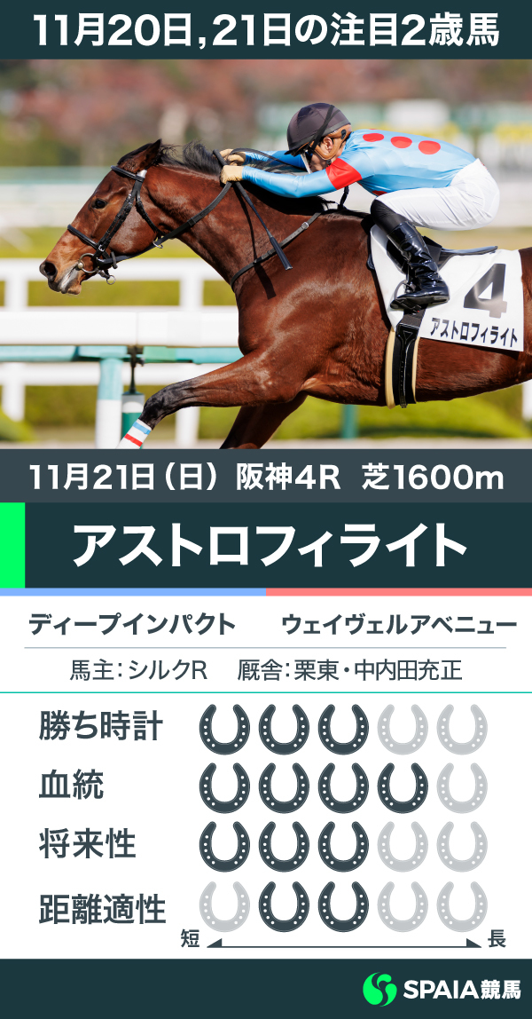 11月20日21日の注目2歳馬,ⒸSPAIA（撮影：三木俊幸）