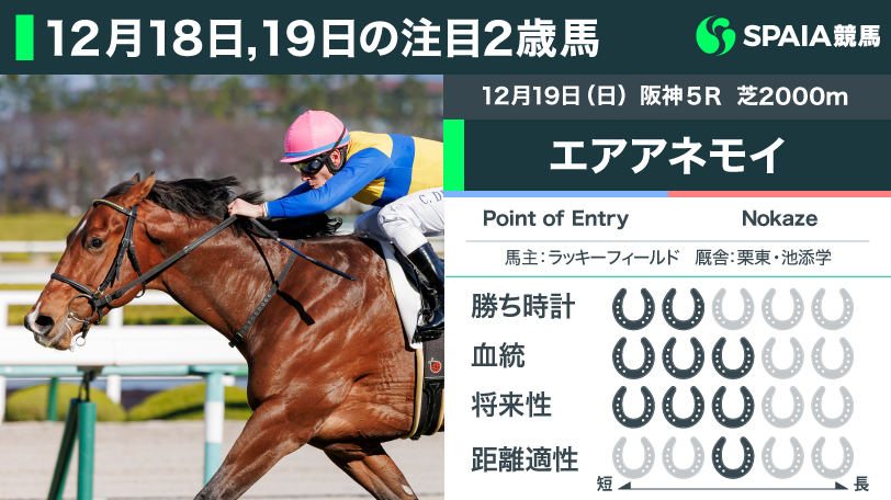 【注目2歳馬】堅実に走る血統から新馬戦勝利のエアアネモイ　Point of Entry産駒は日本の芝適性あり