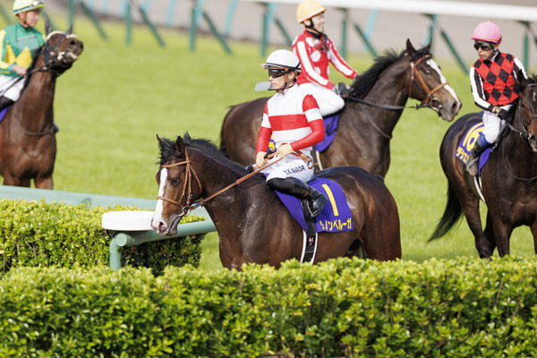 2022年皐月賞4着ダノンベルーガ,ⒸSPAIA（撮影：三木俊幸）