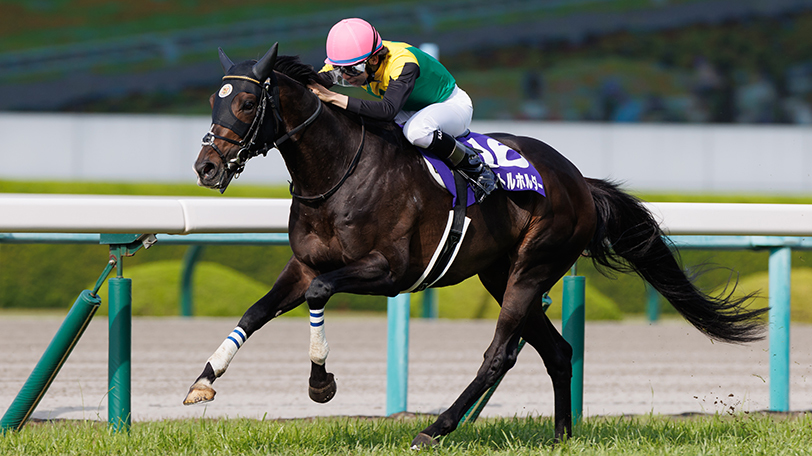【AI予想回顧】天皇賞（春）は横山和生騎手騎乗のタイトルホルダーが7馬身差圧勝　KAIBAの本命馬の結果は