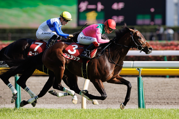 イメージ画像,ⒸSPAIA（撮影：三木俊幸）