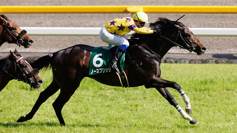 【AI予想回顧】エプソムCはノースブリッジが重賞初制覇　KAIBA本命馬の結果を振り返る