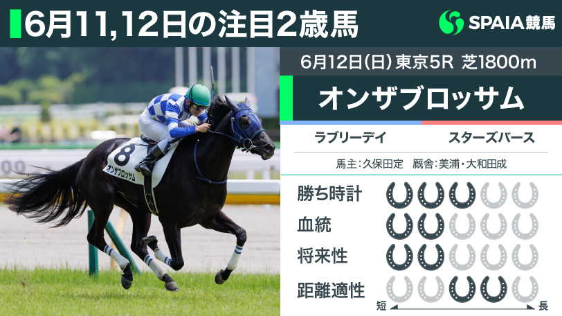 6月12日（日）東京5R2歳新馬勝ち馬オンザブロッサム,ⒸSPAIA（写真撮影：三木俊幸）