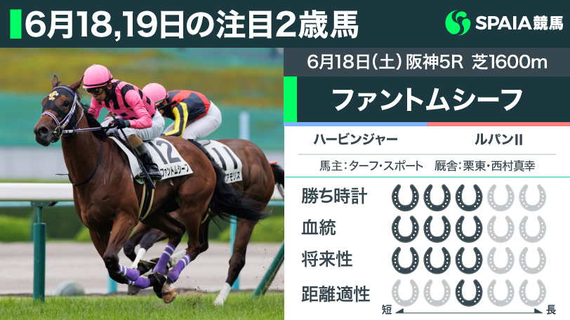 注目2歳馬、ファントムシーフ,ⒸSPAIA（写真撮影：三木俊幸）