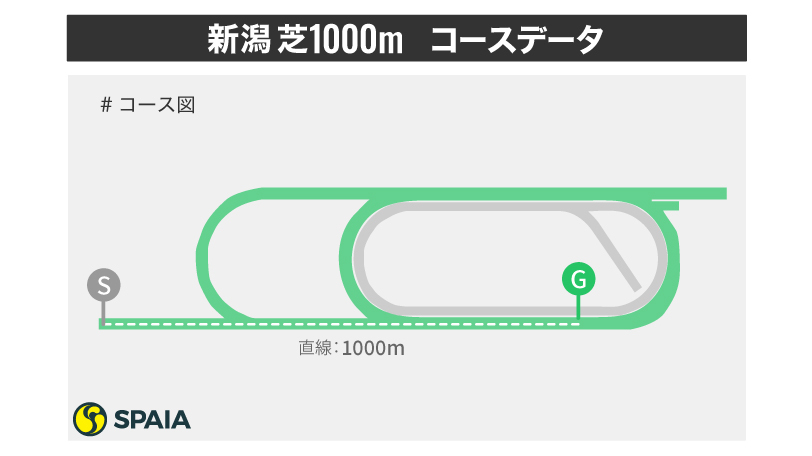 【アイビスSD】8枠とロードカナロア産駒が好成績　東大HCが新潟芝1000mを徹底検証