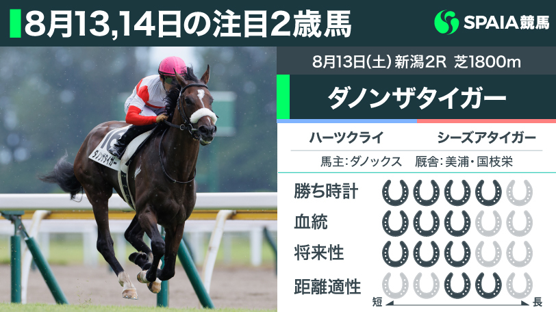 2022年8月13日の注目2歳馬ダノンザタイガー,ⒸSPAIA(写真撮影:三木俊幸)