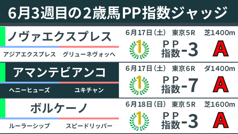 【2歳馬ジャッジ】ベルパッションは函館2歳チャンピオン候補　非凡な瞬発力とフットワークを評価