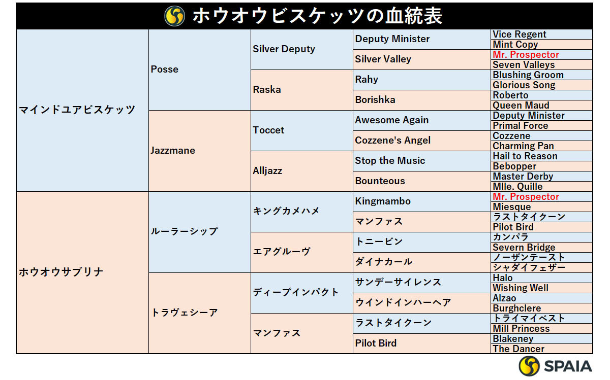 ホウオウビスケッツの血統表,ⒸSPAIA