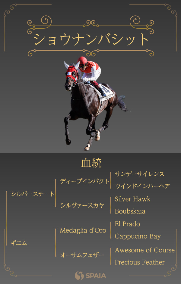 サンデーサイレンス ブルゾン 中央競馬 レア物ジャケット