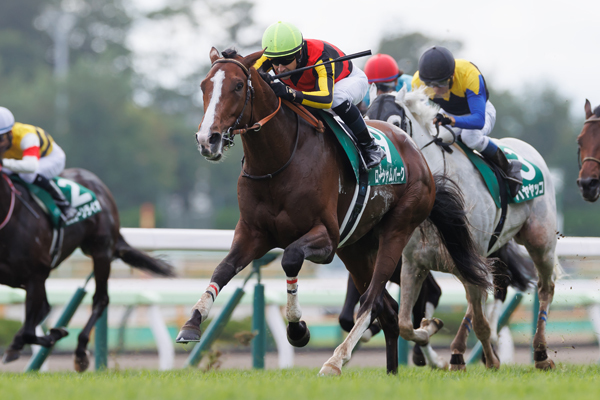 2023年函館記念の勝ち馬ローシャムパーク,ⒸSPAIA（撮影：三木俊幸）