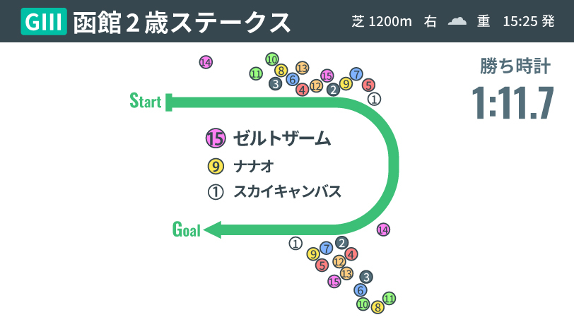 【函館2歳S】馬場を味方にゼルトザームがJRA2歳重賞を制覇　3着スカイキャンバスは晩成型で今後が楽しみ