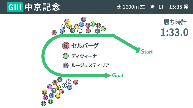 【中京記念】セルバーグが得意舞台で重賞初V　勝利に導いたエピファネイア産駒の強み