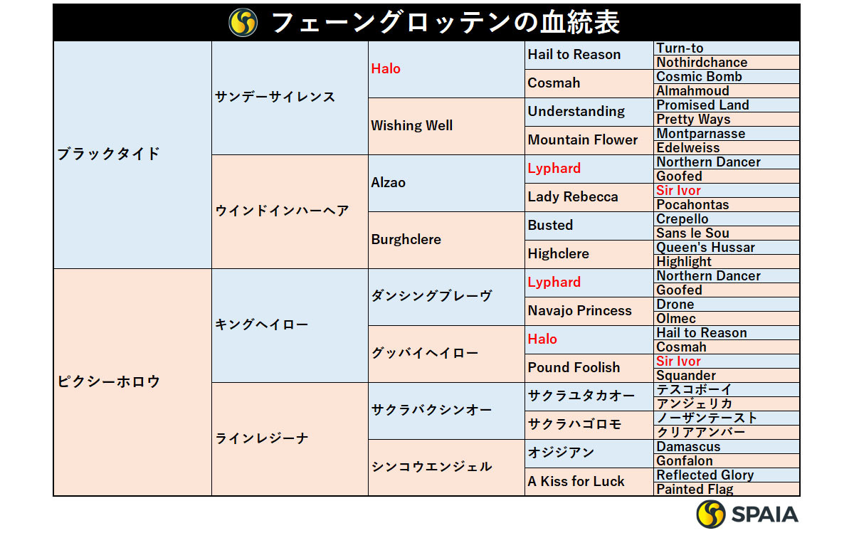 フェーングロッテンの血統表,ⒸSPAIA