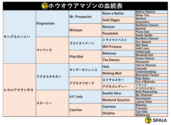 ホウオウアマゾンの血統表,ⒸSPAIA