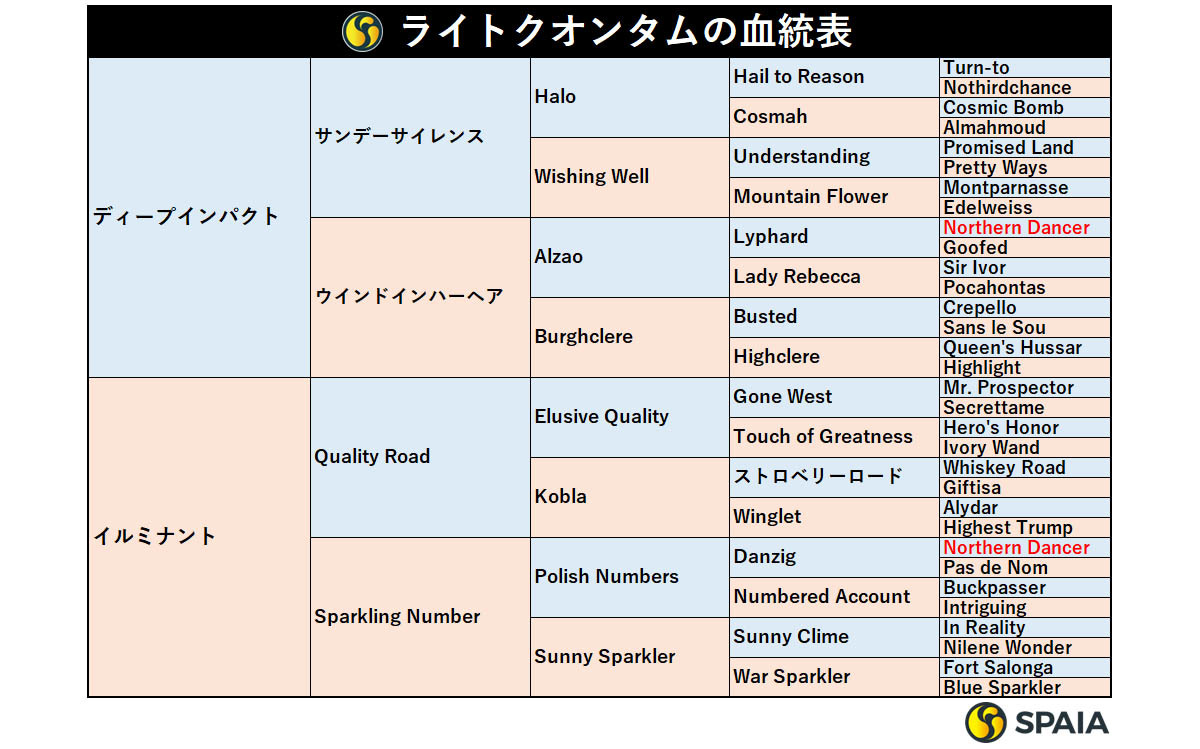 ライトクオンタムの血統表,ⒸSPAIA