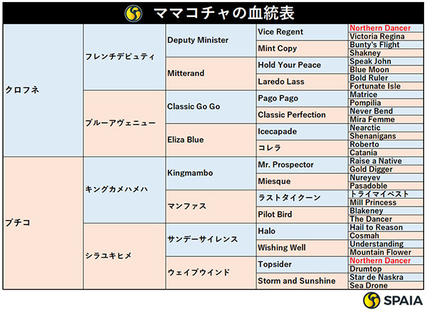 ママコチャの血統表,ⒸSPAIA