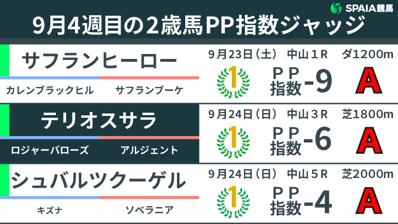 9月4週目の2歳馬ジャッジ,ⒸSPAIA